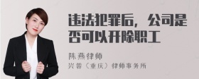 违法犯罪后，公司是否可以开除职工