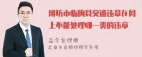 潍坊市临朐县交通违章在网上不能处理哪一类的违章