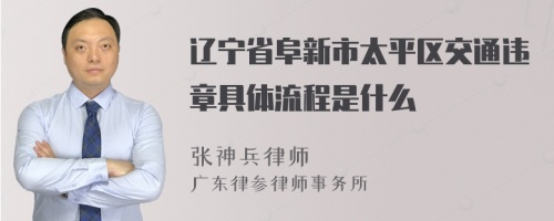 辽宁省阜新市太平区交通违章具体流程是什么