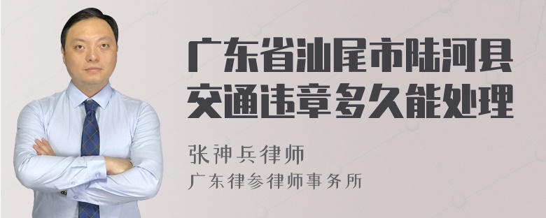 广东省汕尾市陆河县交通违章多久能处理