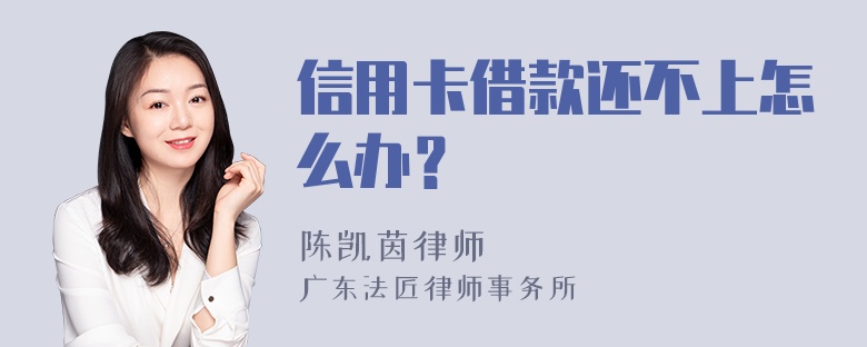 信用卡借款还不上怎么办？