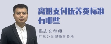 离婚支付抚养费标准有哪些