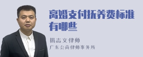 离婚支付抚养费标准有哪些