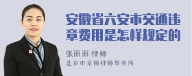 安徽省六安市交通违章费用是怎样规定的