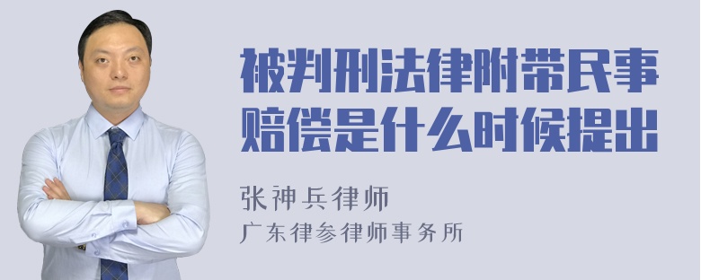 被判刑法律附带民事赔偿是什么时候提出