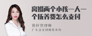 离婚两个小孩一人一个抚养费怎么支付