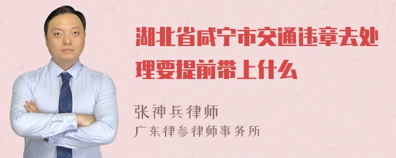 湖北省咸宁市交通违章去处理要提前带上什么