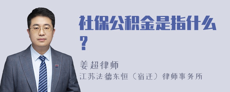 社保公积金是指什么？