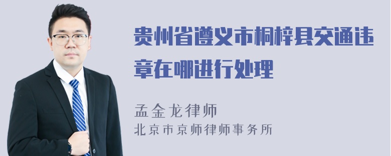 贵州省遵义市桐梓县交通违章在哪进行处理