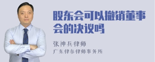 股东会可以撤销董事会的决议吗