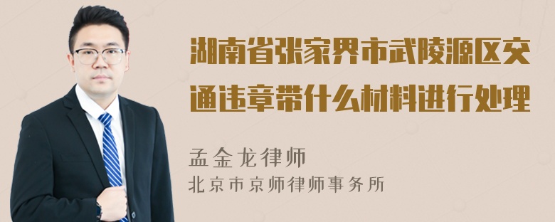 湖南省张家界市武陵源区交通违章带什么材料进行处理