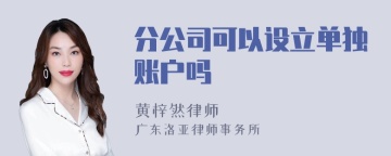 分公司可以设立单独账户吗