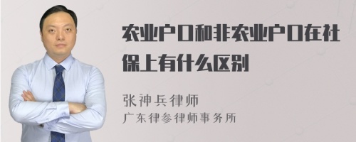 农业户口和非农业户口在社保上有什么区别