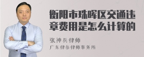 衡阳市珠晖区交通违章费用是怎么计算的