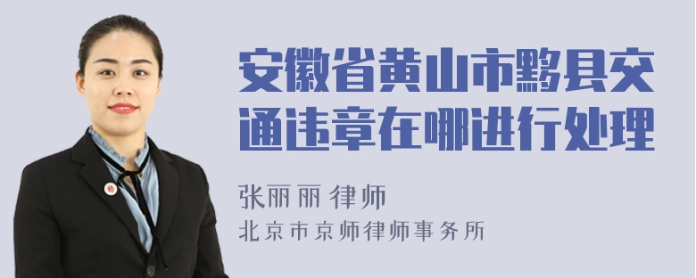 安徽省黄山市黟县交通违章在哪进行处理