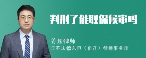 判刑了能取保候审吗