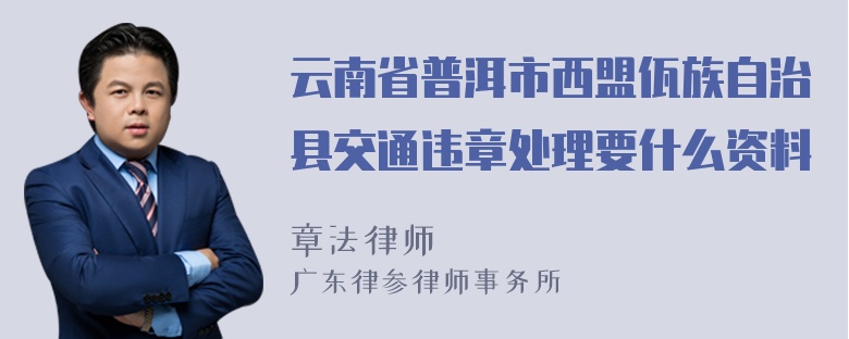 云南省普洱市西盟佤族自治县交通违章处理要什么资料