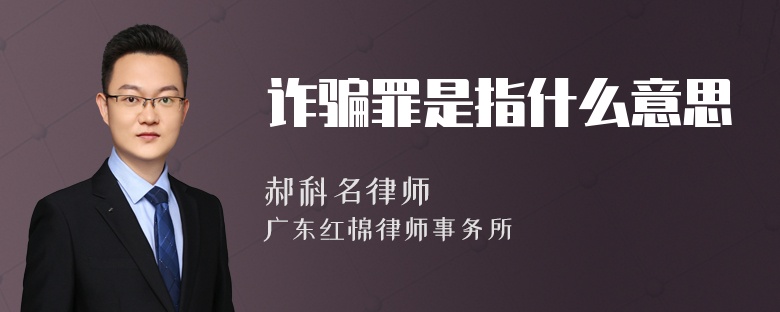 诈骗罪是指什么意思