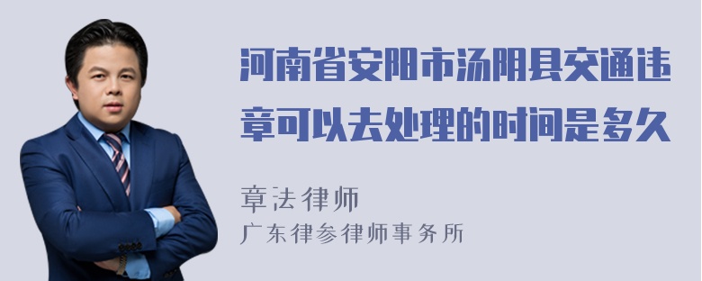 河南省安阳市汤阴县交通违章可以去处理的时间是多久