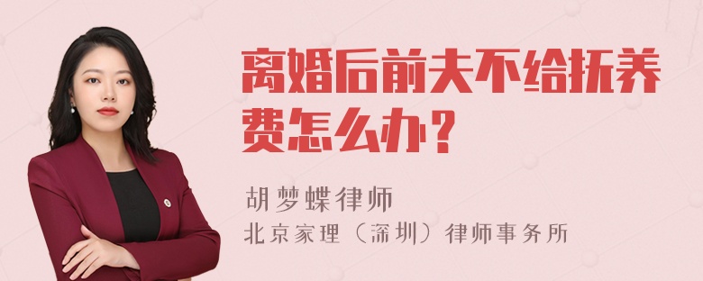 离婚后前夫不给抚养费怎么办？