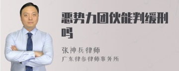 恶势力团伙能判缓刑吗