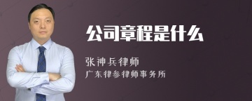 公司章程是什么