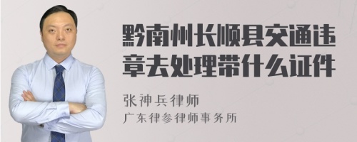 黔南州长顺县交通违章去处理带什么证件