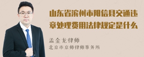 山东省滨州市阳信县交通违章处理费用法律规定是什么