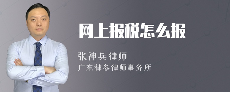 网上报税怎么报