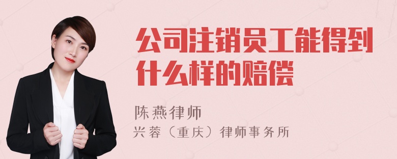 公司注销员工能得到什么样的赔偿