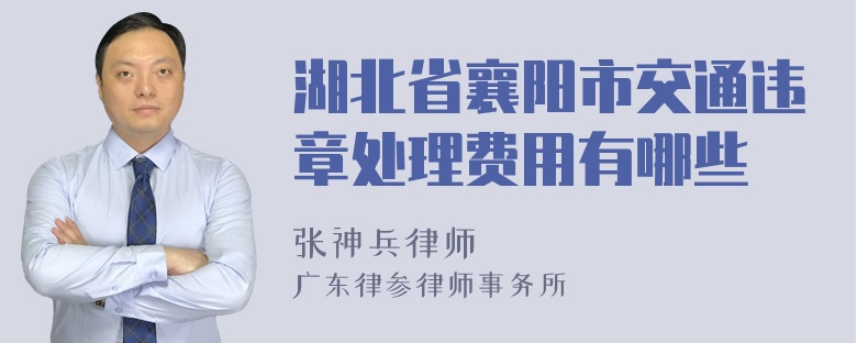 湖北省襄阳市交通违章处理费用有哪些