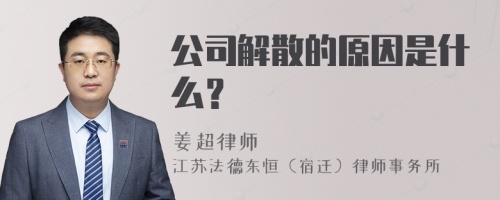 公司解散的原因是什么？