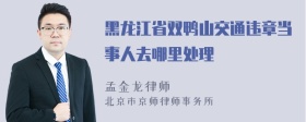 黑龙江省双鸭山交通违章当事人去哪里处理