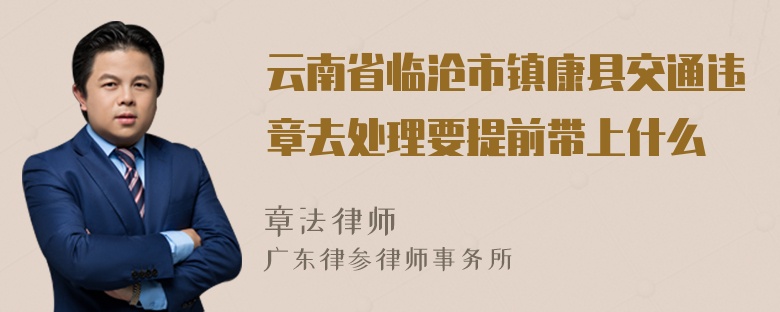 云南省临沧市镇康县交通违章去处理要提前带上什么