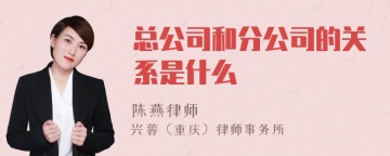 总公司和分公司的关系是什么