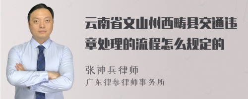 云南省文山州西畴县交通违章处理的流程怎么规定的