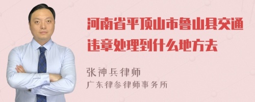 河南省平顶山市鲁山县交通违章处理到什么地方去