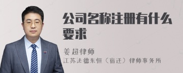 公司名称注册有什么要求