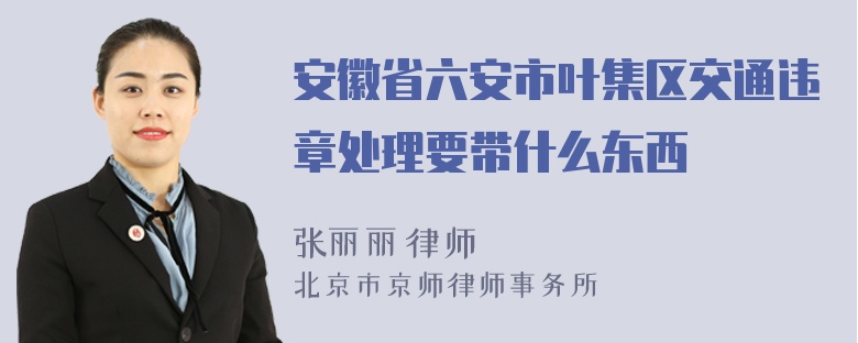 安徽省六安市叶集区交通违章处理要带什么东西