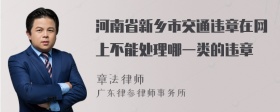 河南省新乡市交通违章在网上不能处理哪一类的违章