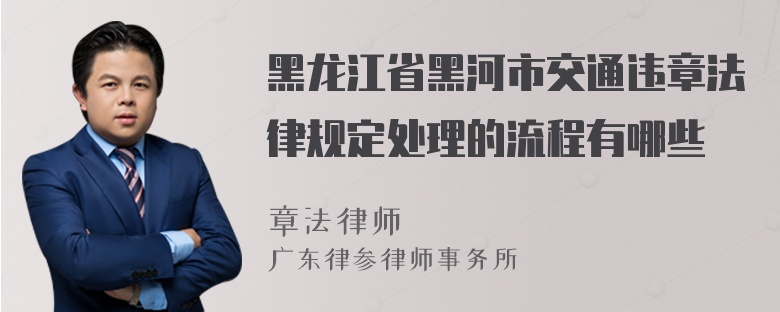 黑龙江省黑河市交通违章法律规定处理的流程有哪些