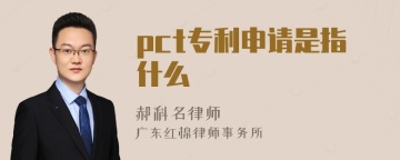 pct专利申请是指什么