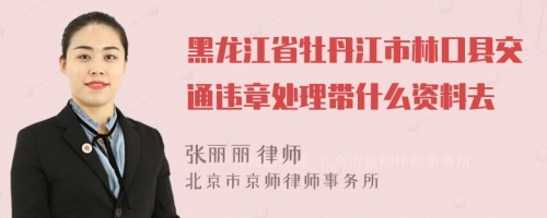 黑龙江省牡丹江市林口县交通违章处理带什么资料去