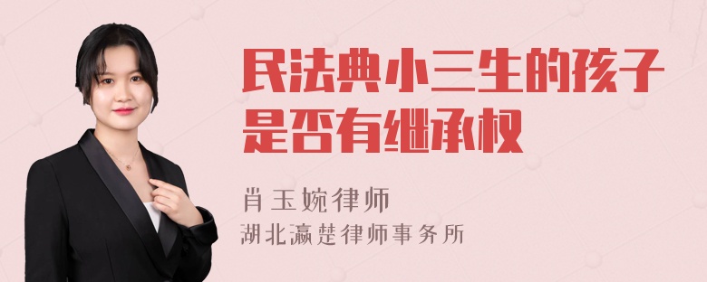 民法典小三生的孩子是否有继承权