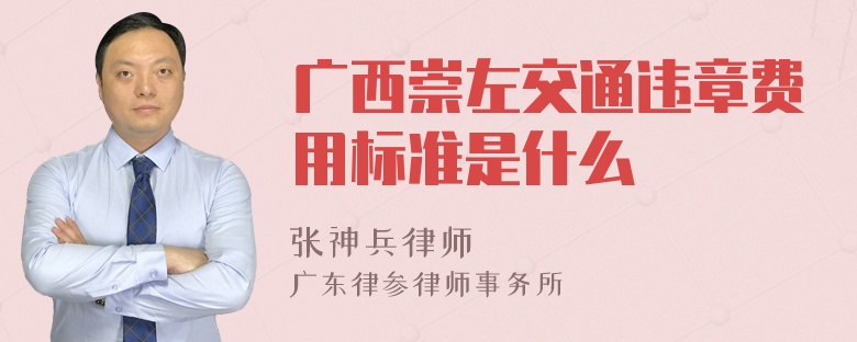 广西崇左交通违章费用标准是什么