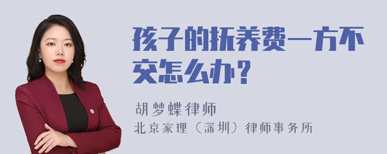 孩子的抚养费一方不交怎么办？