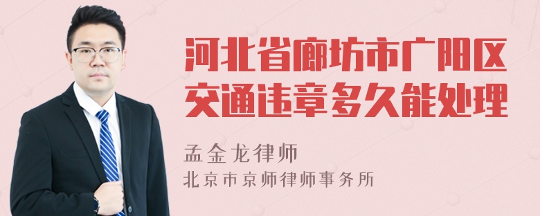 河北省廊坊市广阳区交通违章多久能处理