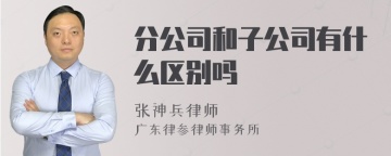 分公司和子公司有什么区别吗