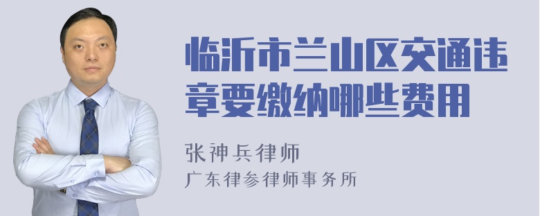 临沂市兰山区交通违章要缴纳哪些费用