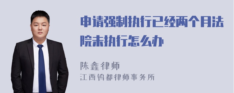 申请强制执行已经两个月法院未执行怎么办